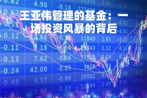 王亚伟管理的基金：一场投资风暴的背后
