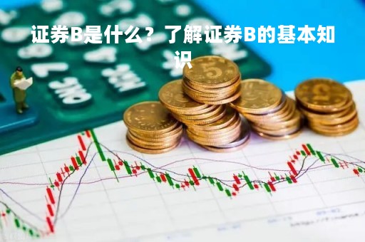 证券B是什么？了解证券B的基本知识