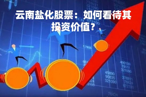 云南盐化股票：如何看待其投资价值？