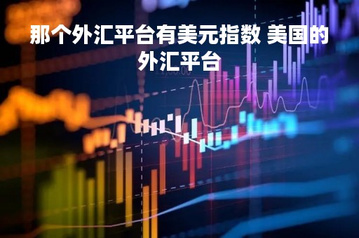那个外汇平台有美元指数 美国的外汇平台