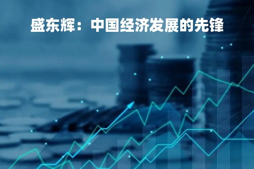盛东辉：中国经济发展的先锋
