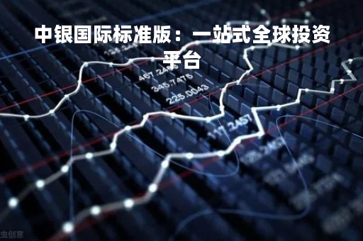 中银国际标准版：一站式全球投资平台