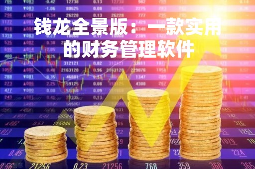 钱龙全景版：一款实用的财务管理软件