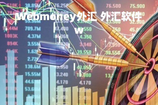 Webmoney外汇 外汇软件w
