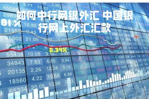 如何中行网银外汇 中国银行网上外汇汇款