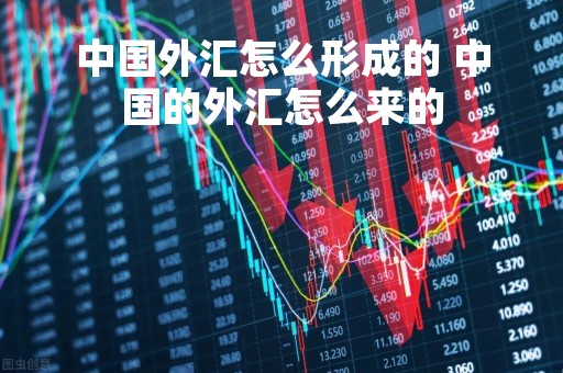 中国外汇怎么形成的 中国的外汇怎么来的