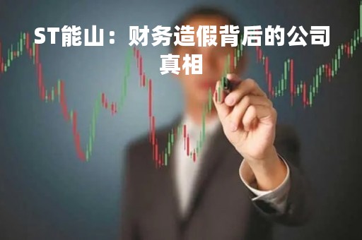 ST能山：财务造假背后的公司真相
