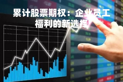 累计股票期权：企业员工福利的新选择