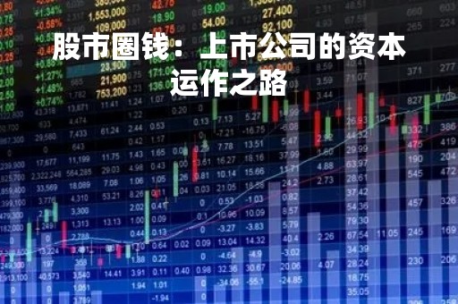 股市圈钱：上市公司的资本运作之路