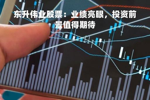 东升伟业股票：业绩亮眼，投资前景值得期待