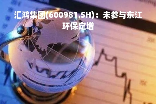 汇鸿集团(600981.SH)：未参与东江环保定增