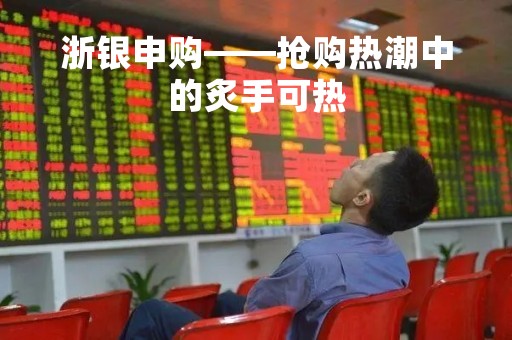 浙银申购——抢购热潮中的炙手可热