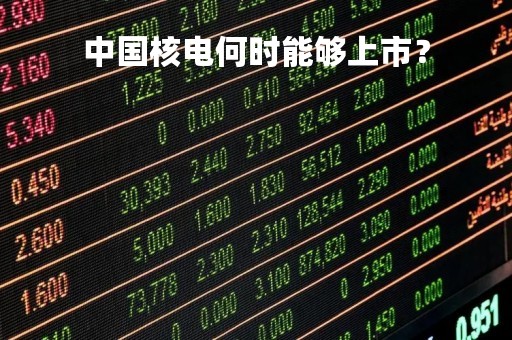 中国核电何时能够上市？
