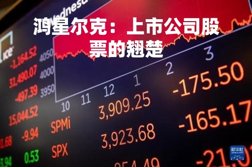 鸿星尔克：上市公司股票的翘楚