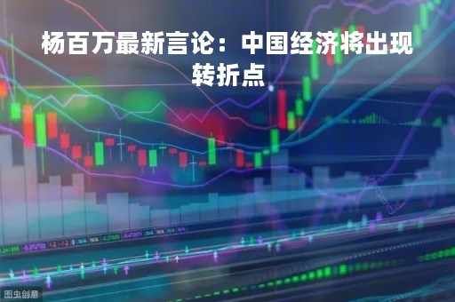 杨百万最新言论：中国经济将出现转折点