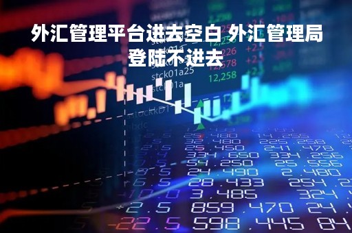 外汇管理平台进去空白 外汇管理局登陆不进去