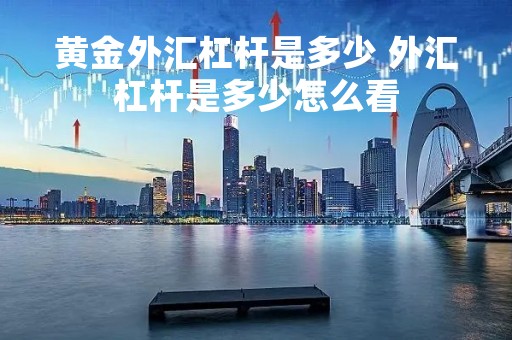 黄金外汇杠杆是多少 外汇杠杆是多少怎么看