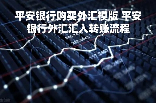 平安银行购买外汇模版 平安银行外汇汇入转账流程