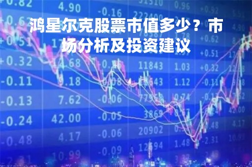 鸿星尔克股票市值多少？市场分析及投资建议