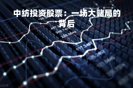 中纺投资股票：一场大赌局的背后
