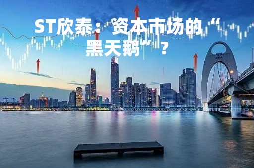 ST欣泰：资本市场的“黑天鹅”？