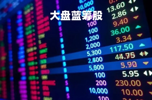 大盘蓝筹股