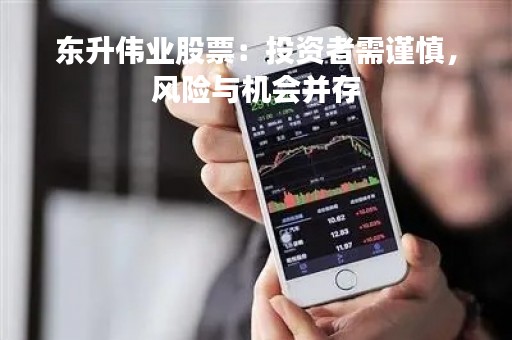 东升伟业股票：投资者需谨慎，风险与机会并存