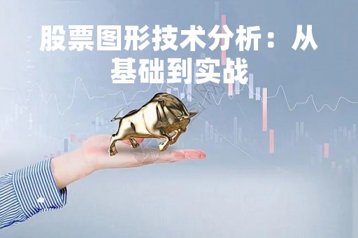 股票图形技术分析：从基础到实战