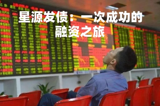 星源发债：一次成功的融资之旅