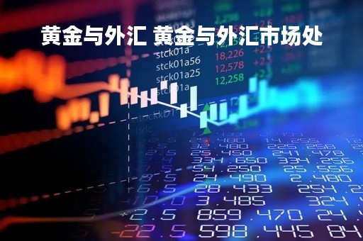 黄金与外汇 黄金与外汇市场处