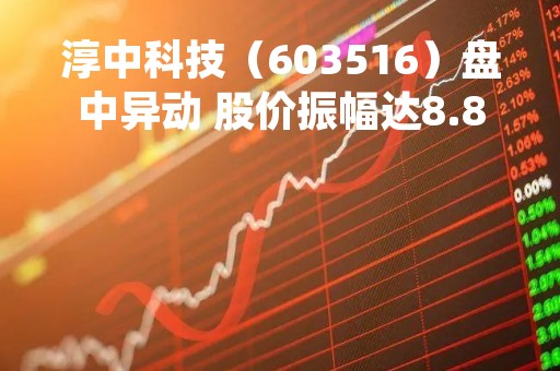 淳中科技（603516）盘中异动 股价振幅达8.87%  上涨7.13%（05-08）