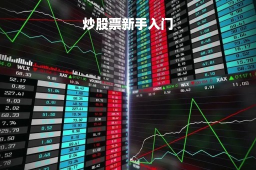 炒股票新手入门