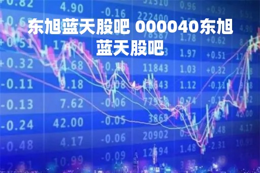 东旭蓝天股吧 000040东旭蓝天股吧