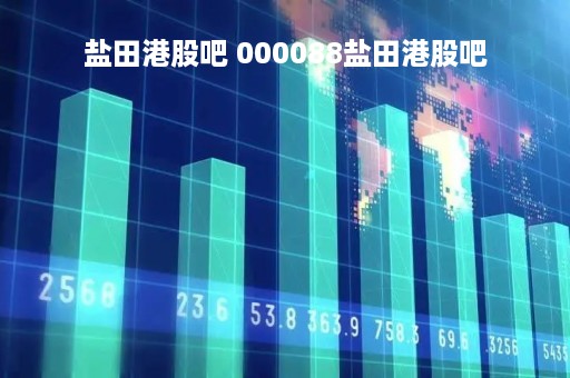 盐田港股吧 000088盐田港股吧