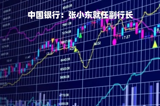 中国银行：张小东就任副行长