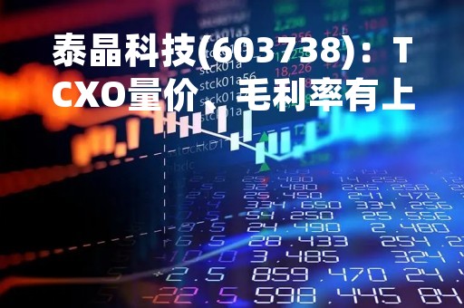 泰晶科技(603738)：TCXO量价、毛利率有上行空间
