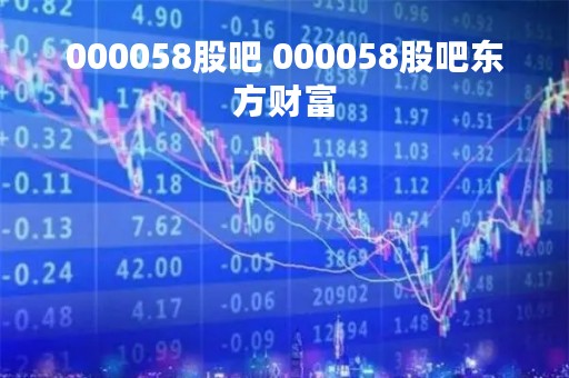 000058股吧 000058股吧东方财富