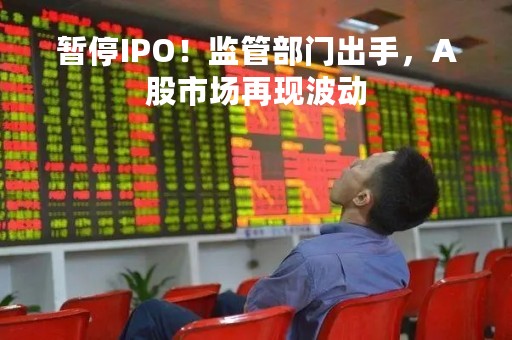暂停IPO！监管部门出手，A股市场再现波动