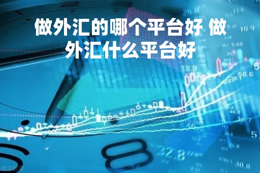 做外汇的哪个平台好 做外汇什么平台好