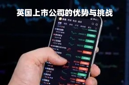 英国上市公司的优势与挑战