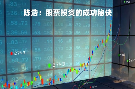 陈浩：股票投资的成功秘诀
