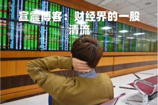 宣震博客：财经界的一股清流