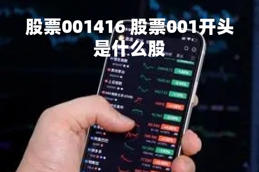 股票001416 股票001开头是什么股