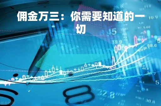 佣金万三：你需要知道的一切