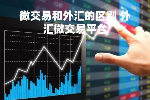 微交易和外汇的区别 外汇微交易平台