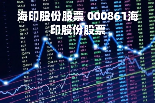 海印股份股票 000861海印股份股票