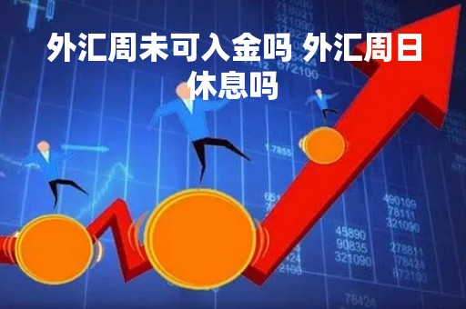 外汇周未可入金吗 外汇周日休息吗
