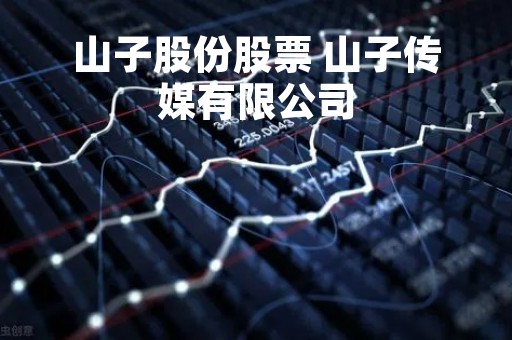 山子股份股票 山子传媒有限公司