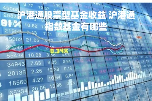 沪港通股票型基金收益 沪港通指数基金有哪些