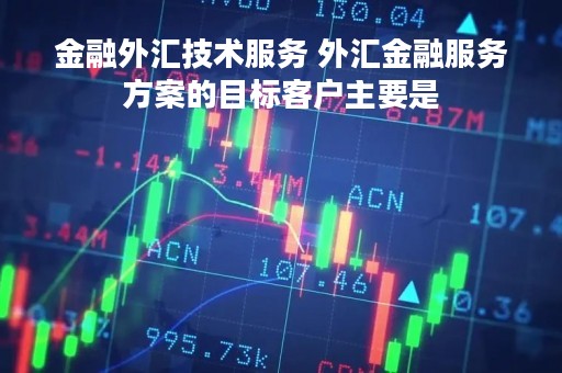 金融外汇技术服务 外汇金融服务方案的目标客户主要是